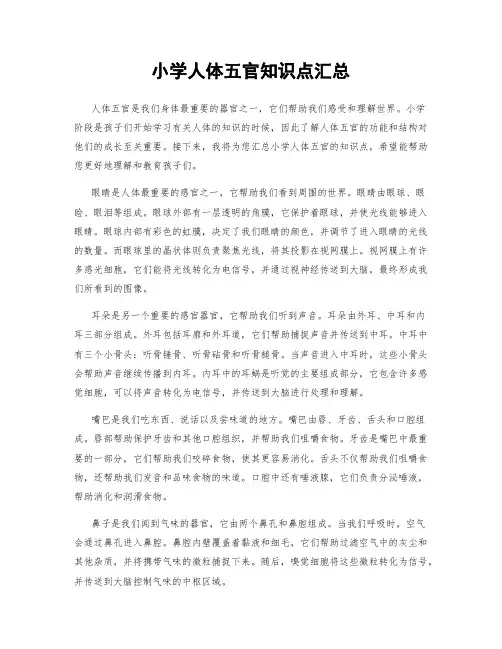 小学人体五官知识点汇总