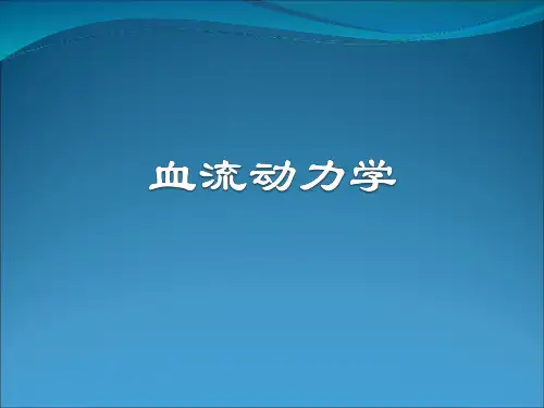血流动力学