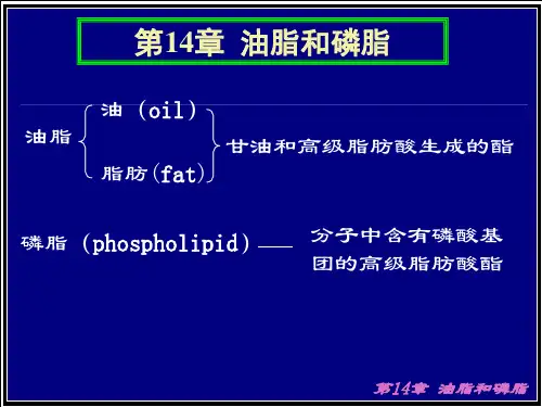 第14章 油脂和磷脂