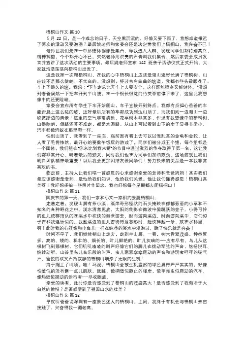 梧桐山作文四