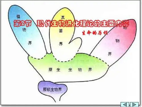 江西省井冈山中学高三生物复习《现代生物进化理论的主要内容》课件