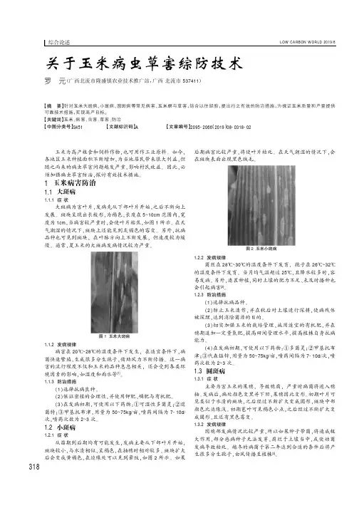 关于玉米病虫草害综防技术