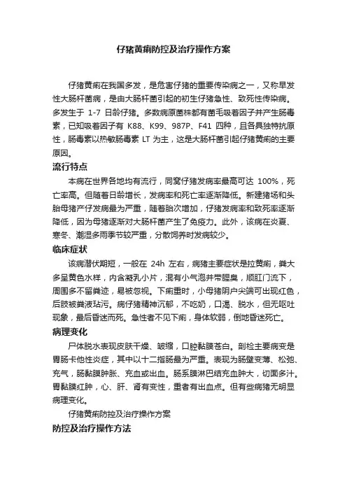 仔猪黄痢防控及治疗操作方案