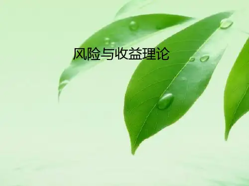 风险与收益理论知识