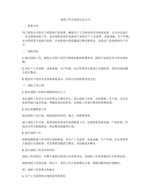 迎检工作计划范文怎么写