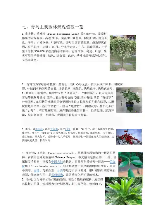 青岛北方植被资料收集