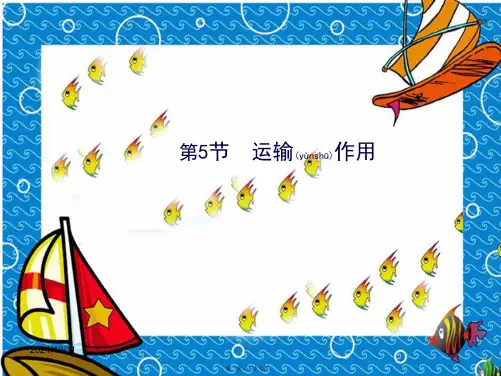 七年级生物上册 3.5.5 运输作用 课件
