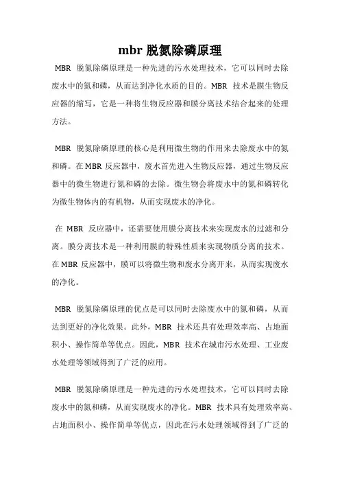 mbr脱氮除磷原理
