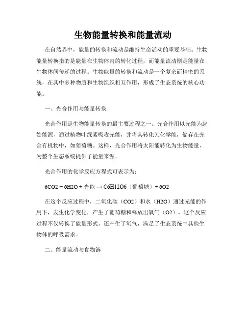 生物能量转换和能量流动