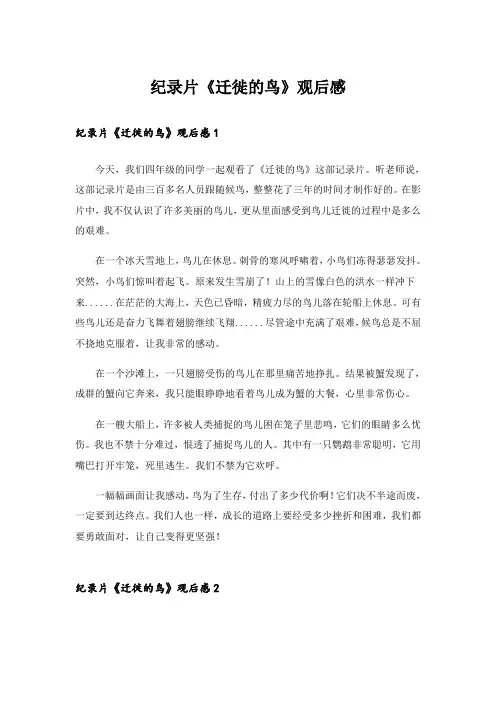 纪录片《迁徙的鸟》观后感