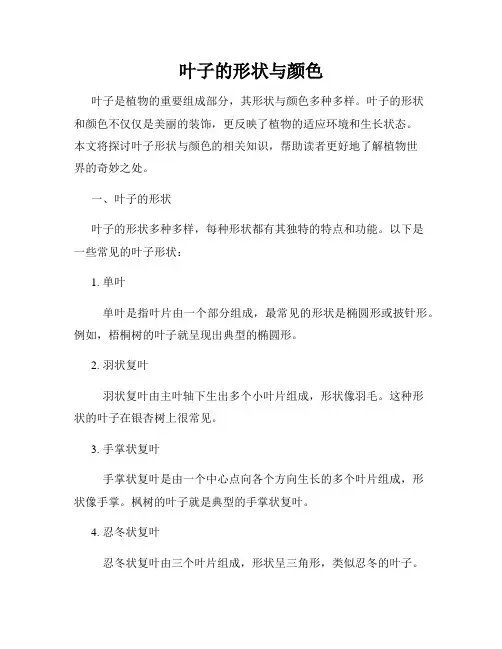 叶子的形状与颜色