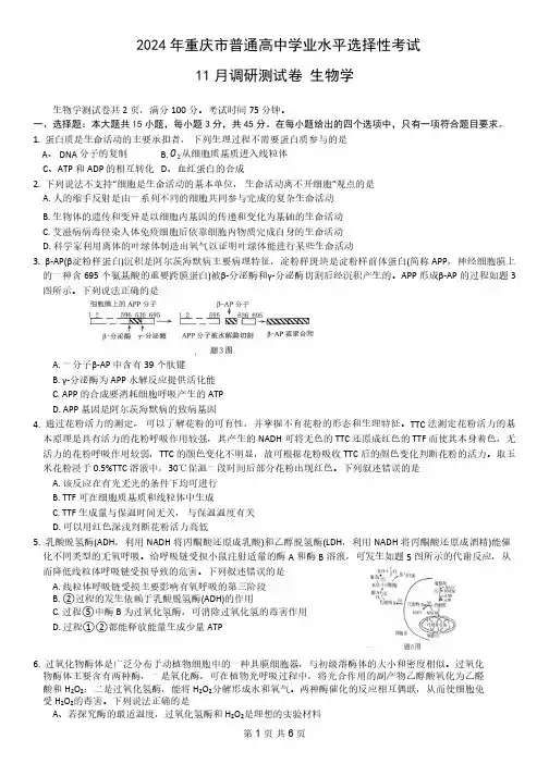 重庆市2023-2024学年高三上学期11月期中考试 生物试题(含答案解析)