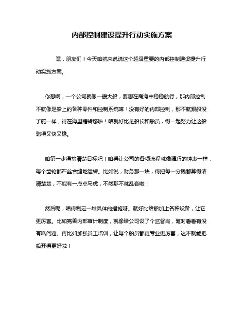 内部控制建设提升行动实施方案
