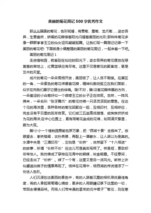 美丽的菊花周记500字优秀作文