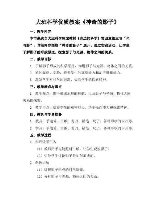 大班科学优质教案《神奇的影子》
