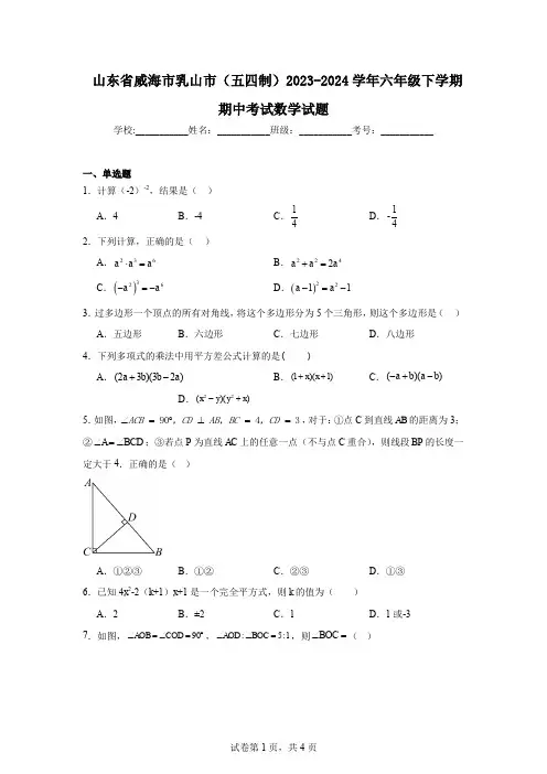 山东省威海市乳山市(五四制)2023-2024学年六年级下学期期中考试数学试题