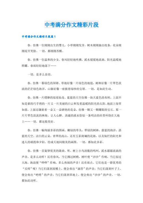 中考满分作文精彩片段