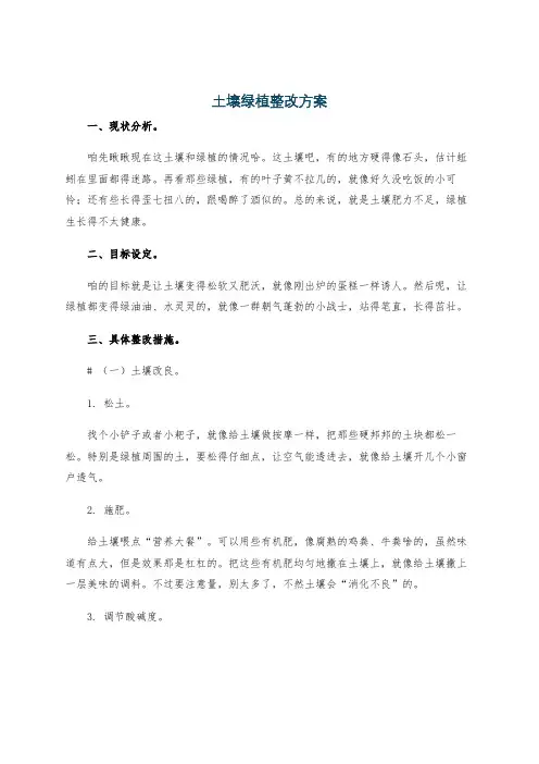 土壤绿植整改方案