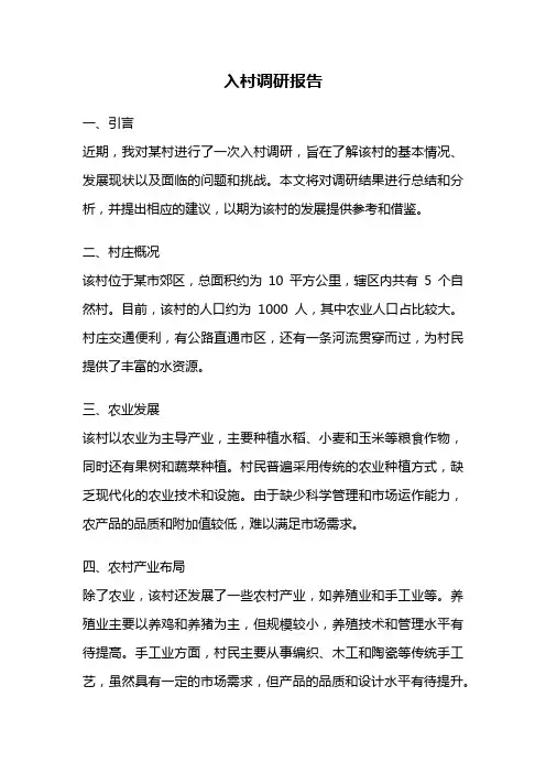 入村调研报告