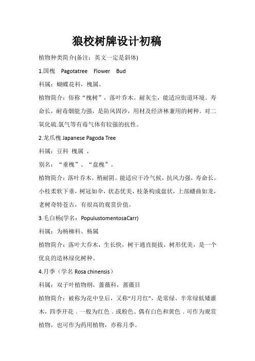 狼校树牌设计初稿(1)