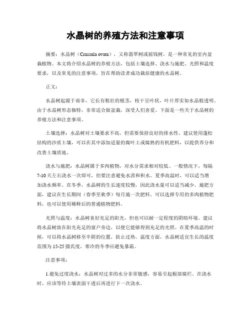 水晶树的养殖方法和注意事项