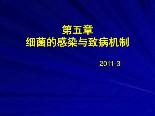 细菌和病毒感染与致病机制ppt课件