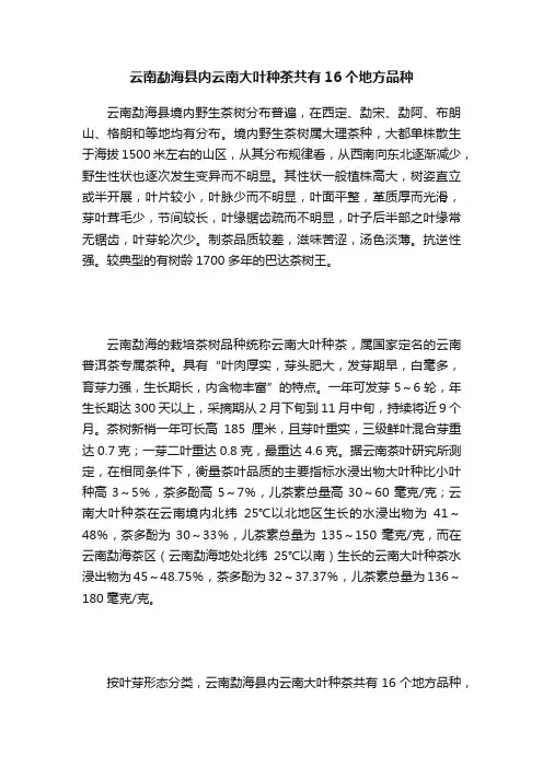 云南勐海县内云南大叶种茶共有16个地方品种