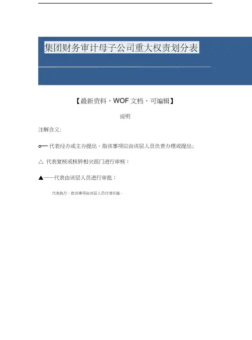 集团财务审计母子公司重大权责划分表