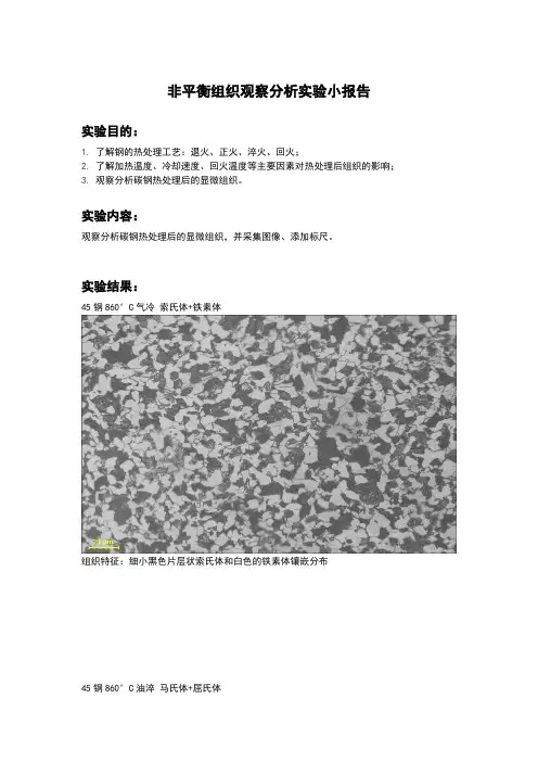 材料科学实验-非平衡组织观察分析实验小报告