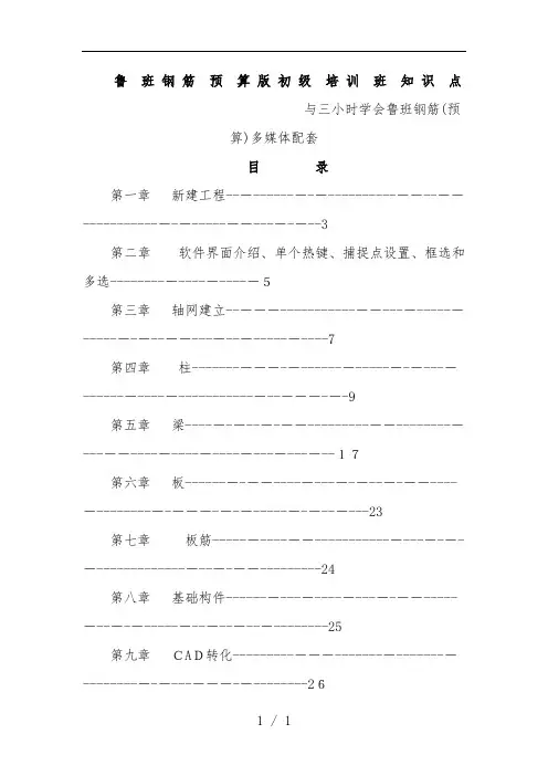 鲁班钢筋预算版初级培训班知识