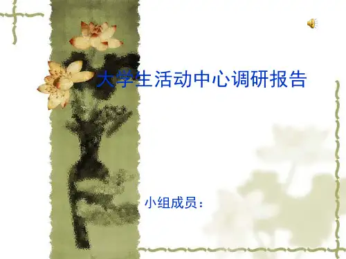 调研报告.ppt