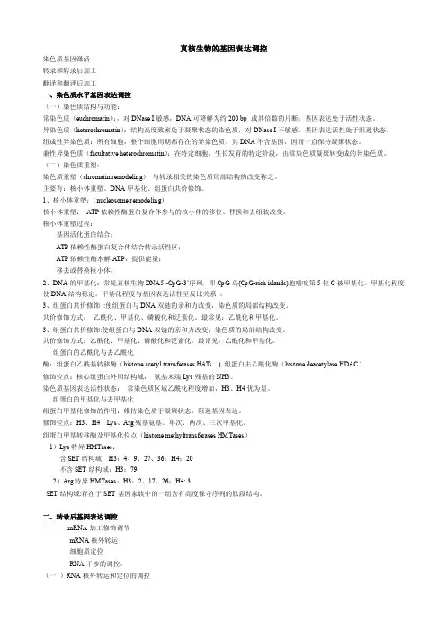 真核生物基因表达