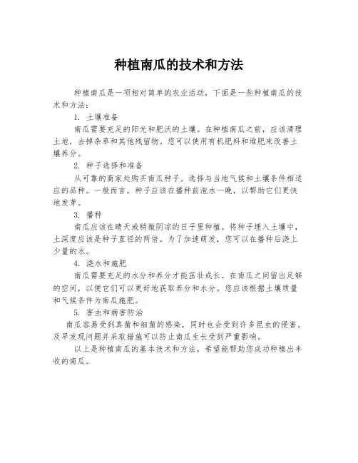 种植南瓜的技术和方法
