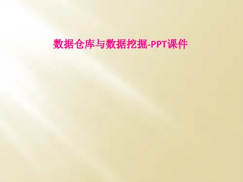 数据仓库与数据挖掘PPT课件