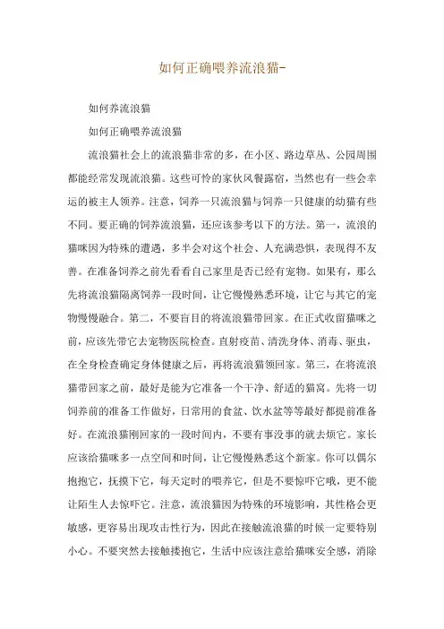 如何正确喂养流浪猫--如何养流浪猫