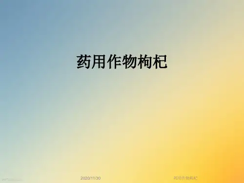 药用作物枸杞
