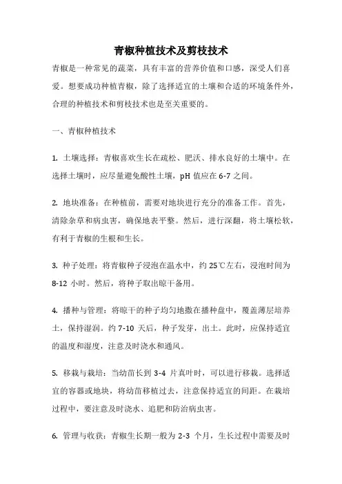 青椒种植技术及剪枝技术