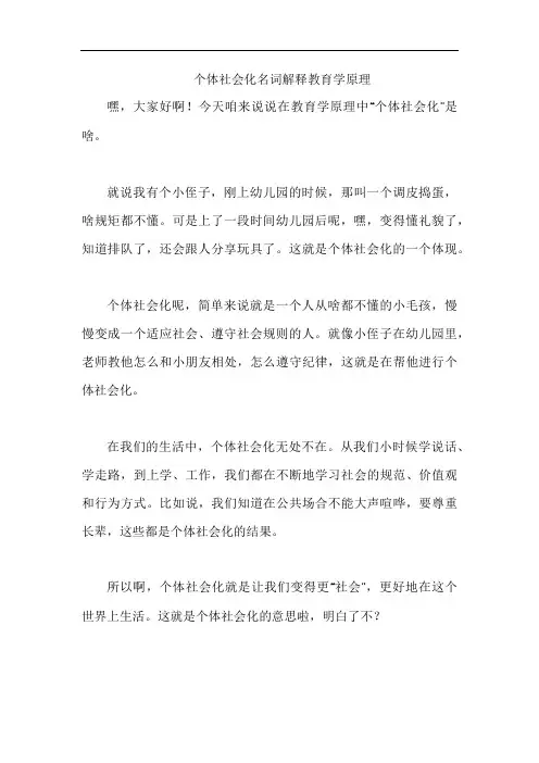 个体社会化名词解释教育学原理