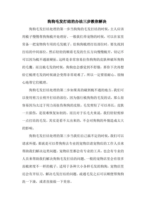 狗狗毛发打结的办法三步教你解决