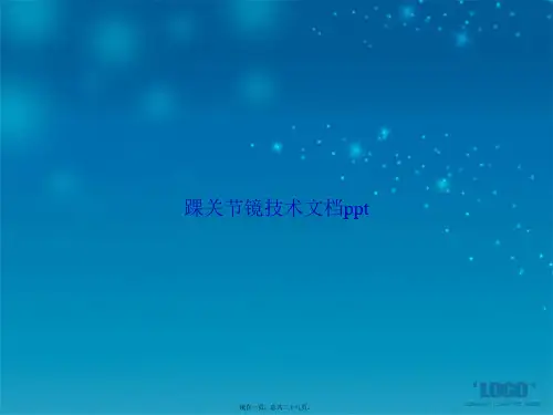 踝关节镜技术讲课文档