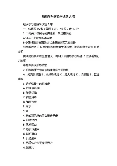 组织学与胚胎学试题A卷