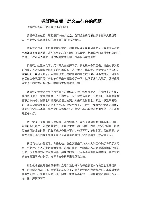 做好巡察后半篇文章存在的问题