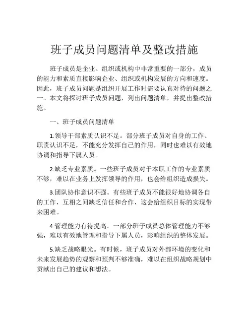 班子成员问题清单及整改措施