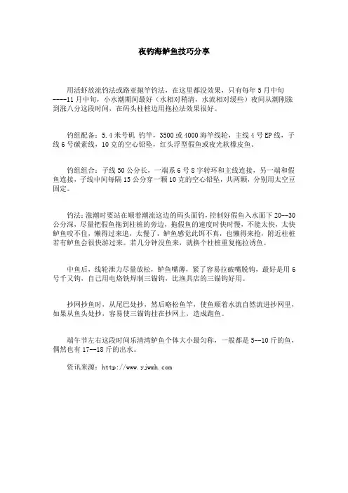 夜钓海鲈鱼技巧分享