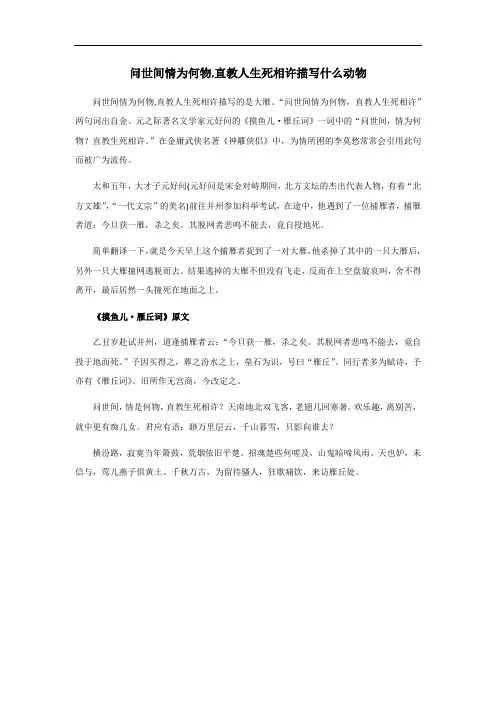 问世间情为何物,直教人生死相许描写什么动物