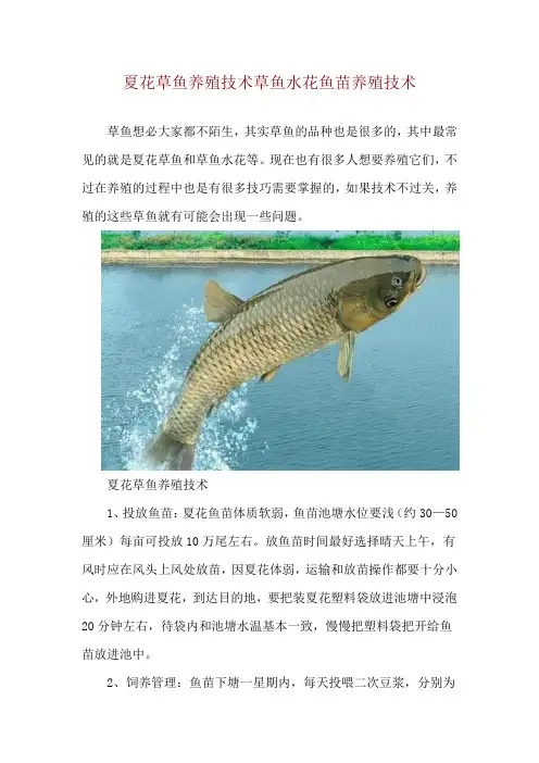 夏花草鱼养殖技术 草鱼水花鱼苗养殖技术