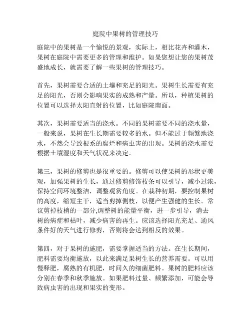 庭院中果树的管理技巧