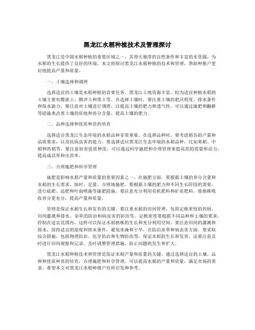 黑龙江水稻种植技术及管理探讨