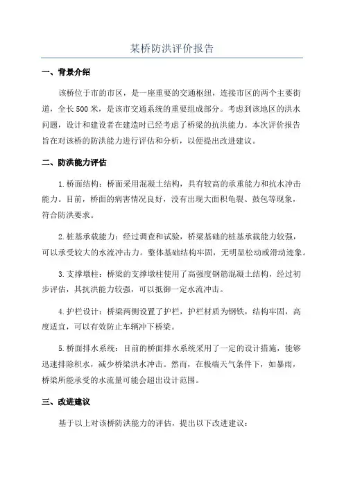 某桥防洪评价报告