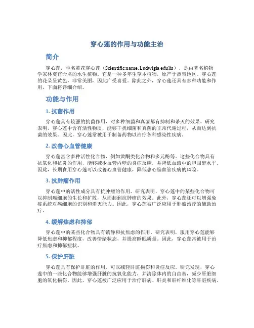 穿心莲的作用与功能主治